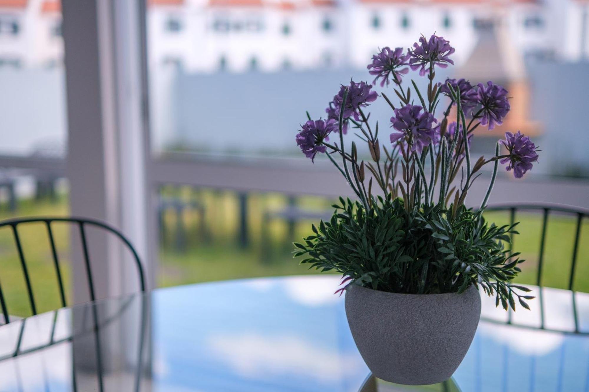 Areal De Santa Barbara Guest House Ribeira Grande Zewnętrze zdjęcie